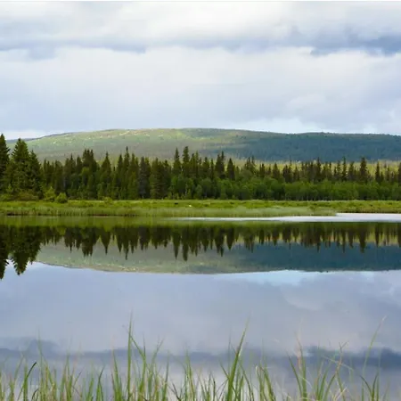 I Sjusjøen