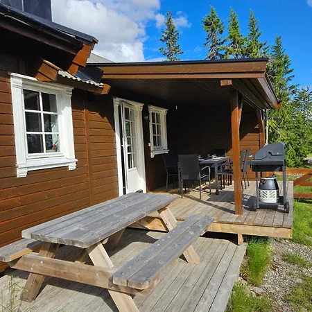 I * Sjusjøen