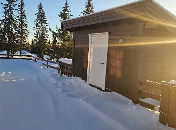 I * Sjusjøen