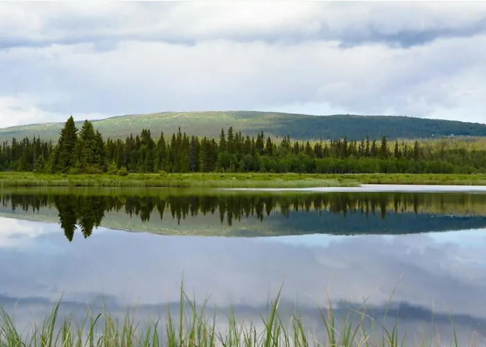 I Sjusjøen