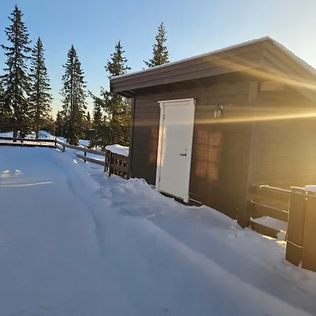 I * Sjusjøen